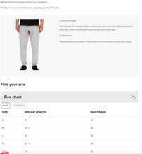 Load image into Gallery viewer, hustleplay.co Signature Unisex Joggers - Embroidered Black Thread

