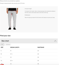 Load image into Gallery viewer, hustleplay.co Brand Logo Unisex Joggers - Embroidered Black Thread
